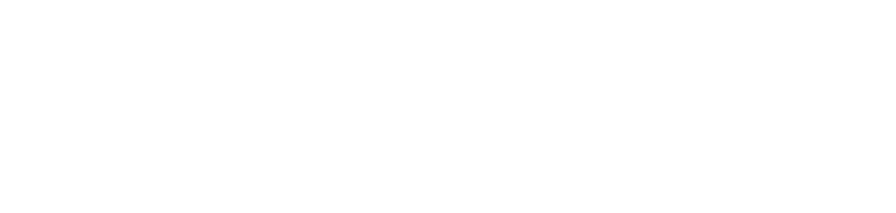 Captive Consultants